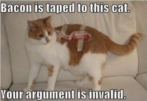 argument-is-invalid-meme-bacon-cat6